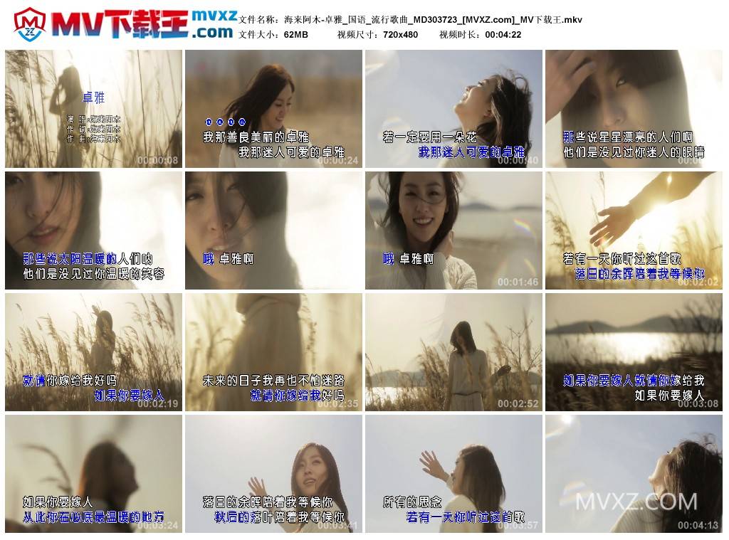 海来阿木-卓雅_国语_流行歌曲_MD303723